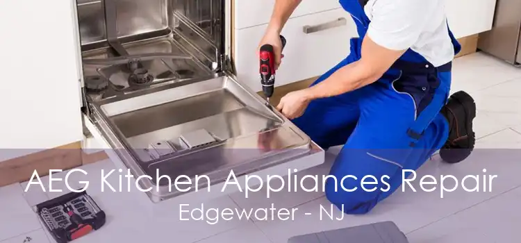 AEG Kitchen Appliances Repair Edgewater - NJ