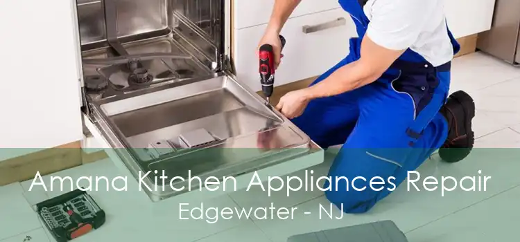 Amana Kitchen Appliances Repair Edgewater - NJ