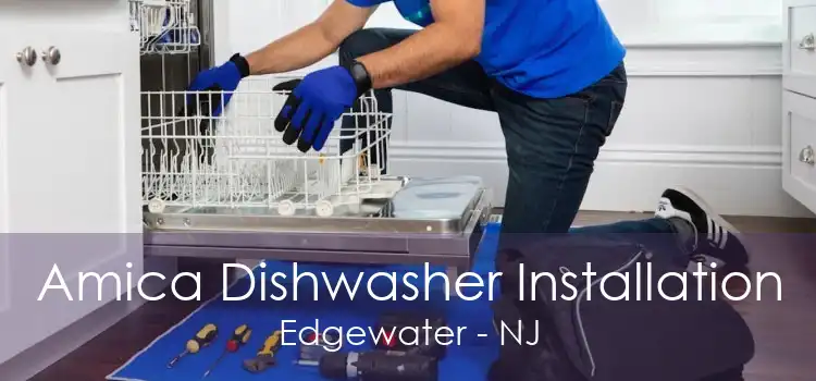 Amica Dishwasher Installation Edgewater - NJ