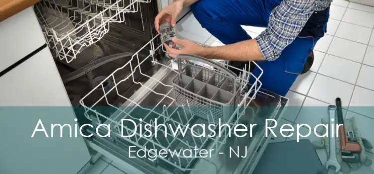 Amica Dishwasher Repair Edgewater - NJ