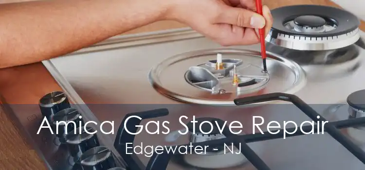 Amica Gas Stove Repair Edgewater - NJ