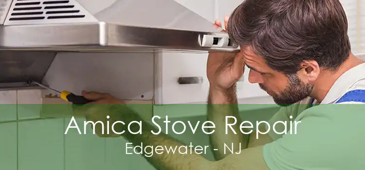 Amica Stove Repair Edgewater - NJ