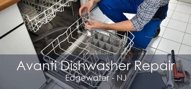 Avanti Dishwasher Repair Edgewater - NJ