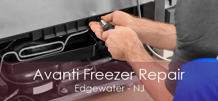 Avanti Freezer Repair Edgewater - NJ