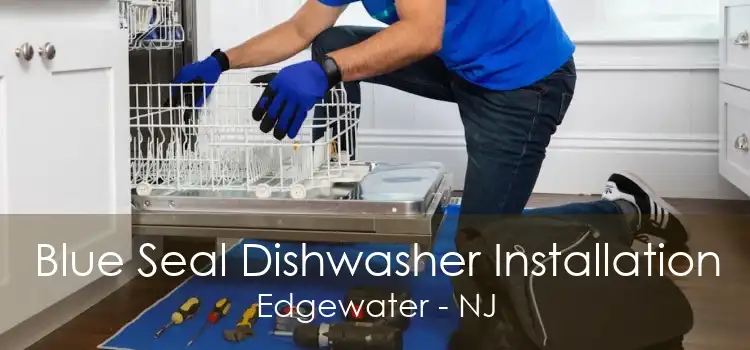 Blue Seal Dishwasher Installation Edgewater - NJ