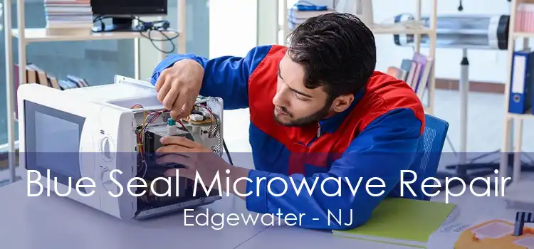 Blue Seal Microwave Repair Edgewater - NJ