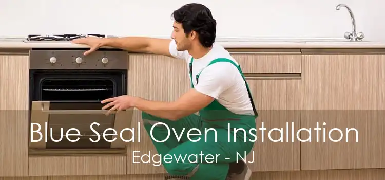 Blue Seal Oven Installation Edgewater - NJ