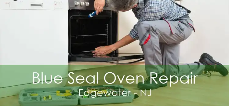 Blue Seal Oven Repair Edgewater - NJ