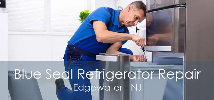 Blue Seal Refrigerator Repair Edgewater - NJ