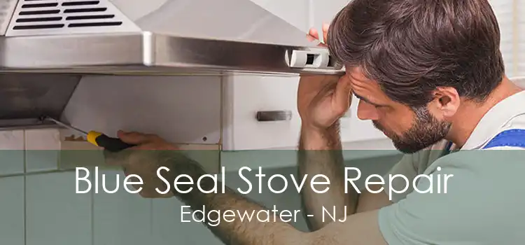 Blue Seal Stove Repair Edgewater - NJ