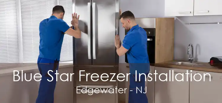 Blue Star Freezer Installation Edgewater - NJ