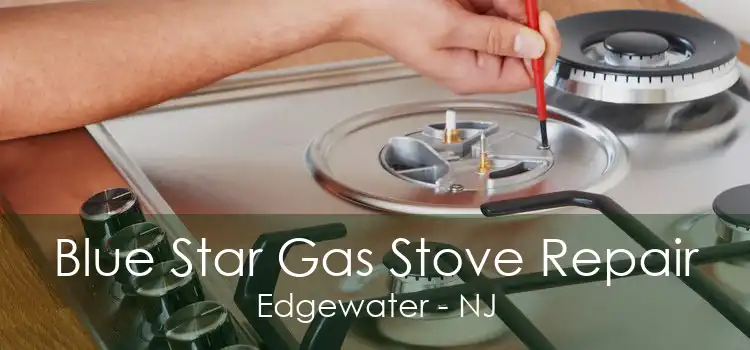 Blue Star Gas Stove Repair Edgewater - NJ