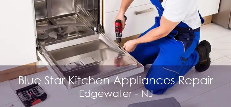 Blue Star Kitchen Appliances Repair Edgewater - NJ