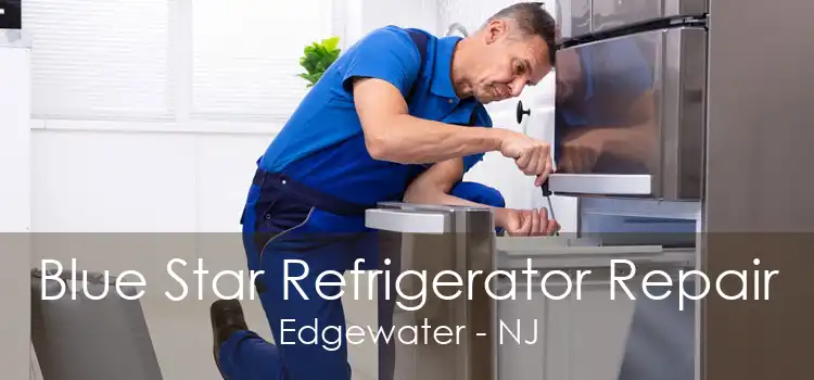 Blue Star Refrigerator Repair Edgewater - NJ