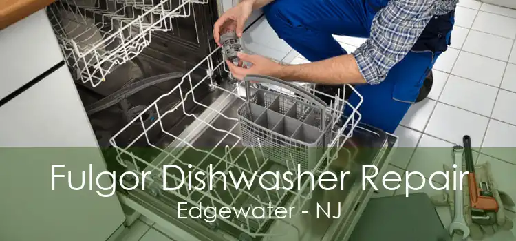 Fulgor Dishwasher Repair Edgewater - NJ