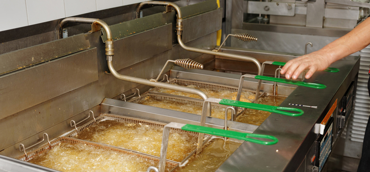 Commercial Fryer Repair in Edgewater, NJ