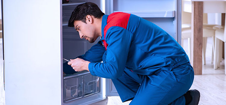 Freezer Repair Services in Edgewater, New Jersey