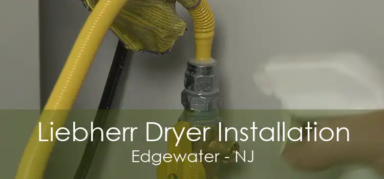 Liebherr Dryer Installation Edgewater - NJ