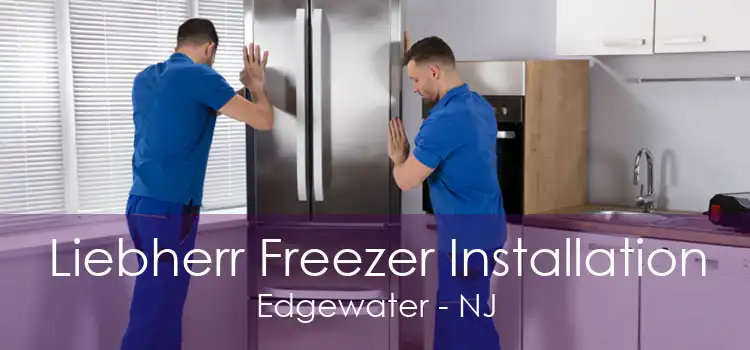 Liebherr Freezer Installation Edgewater - NJ