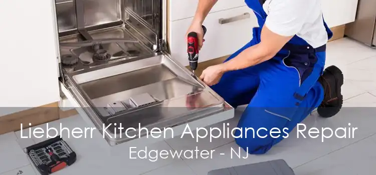 Liebherr Kitchen Appliances Repair Edgewater - NJ