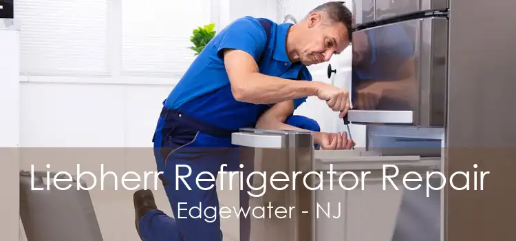 Liebherr Refrigerator Repair Edgewater - NJ